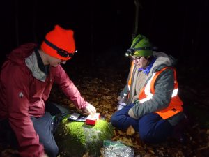 Abbey and Brendan looking for salamanders at night